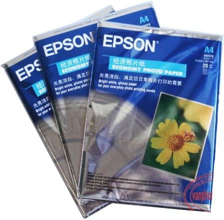 Giấy ảnh Epson hoa cúc A4
